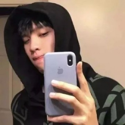 兽设复古风格设计Furry群